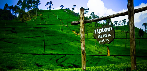 LIPTON SEAT - HAPUTALE